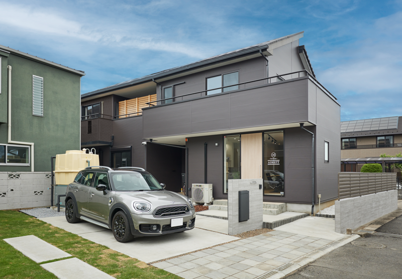 DUAL HOUSE