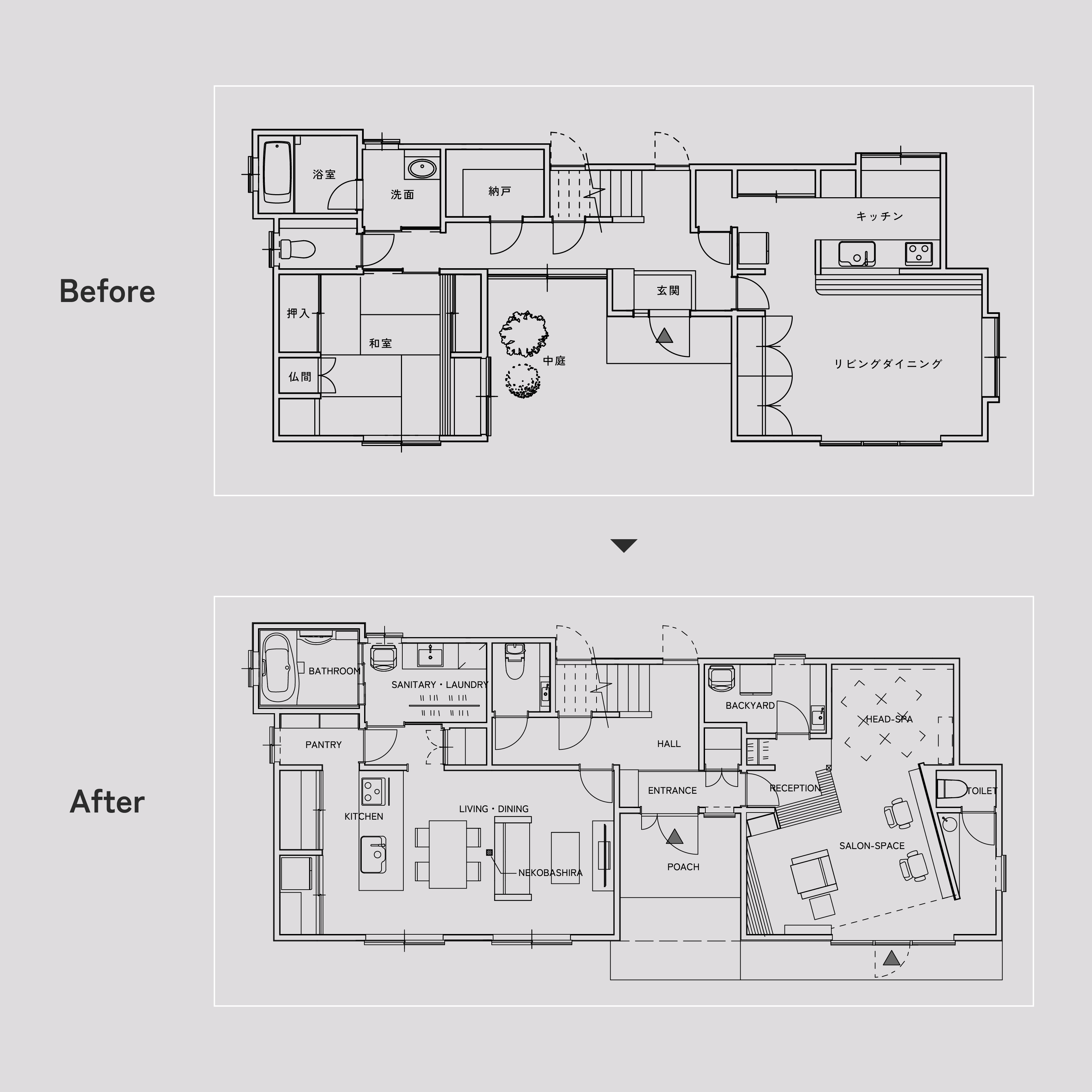 DUAL HOUSE